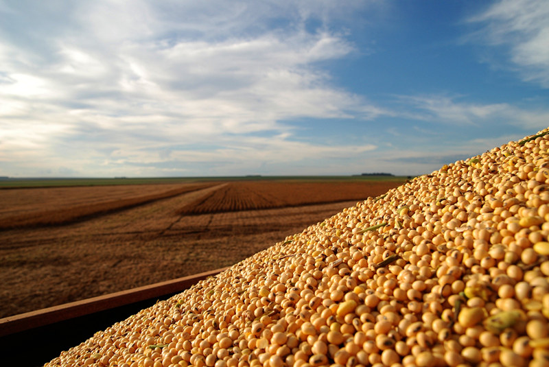 BETWAY·必威(西汉姆联)官方网站-West Ham United