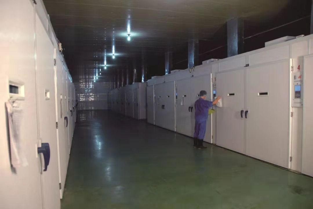 BETWAY·必威(西汉姆联)官方网站-West Ham United