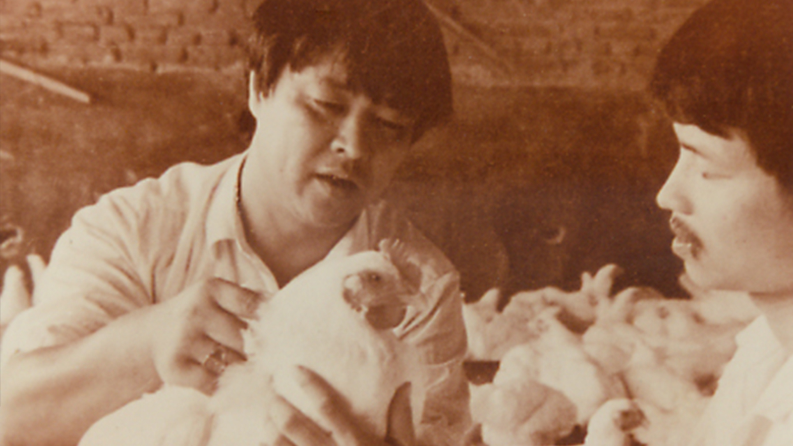 BETWAY·必威(西汉姆联)官方网站-West Ham United