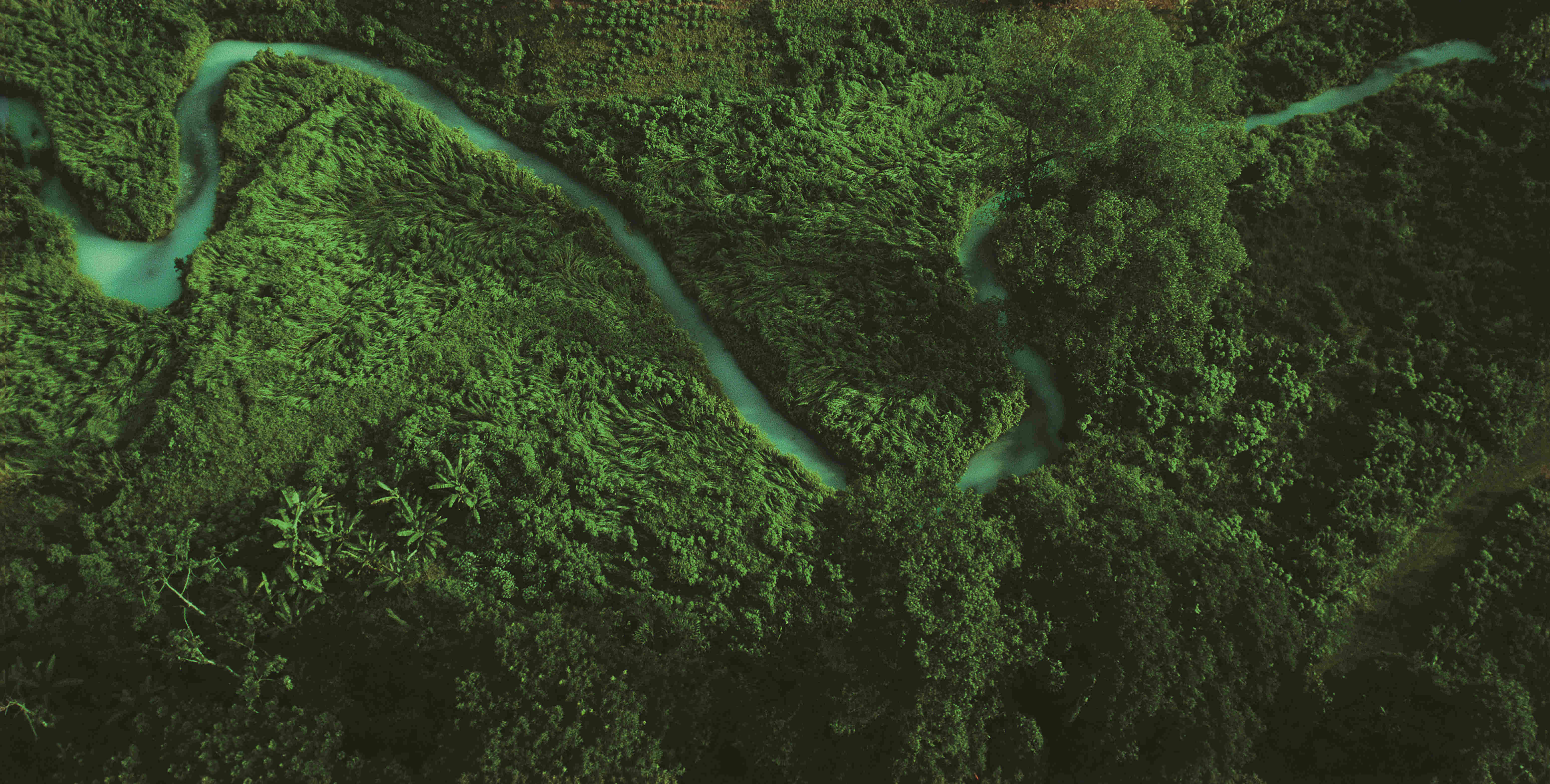 BETWAY·必威(西汉姆联)官方网站-West Ham United