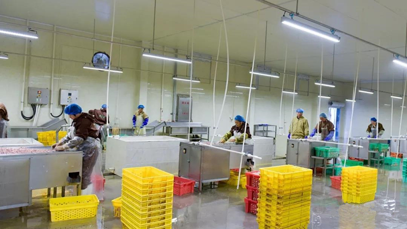 BETWAY·必威(西汉姆联)官方网站-West Ham United